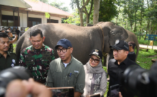 Ketua DPRD Lampung: Atensi Presiden Jadikan Way Kambas Percontohan Nasional Harus Dikawal Bersama