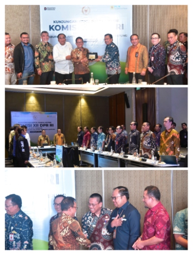 Panja Listrik Komisi XII DPR RI Kunjungi Provinsi Lampung, Bahas Ketahanan dan Pemerataan Listrik